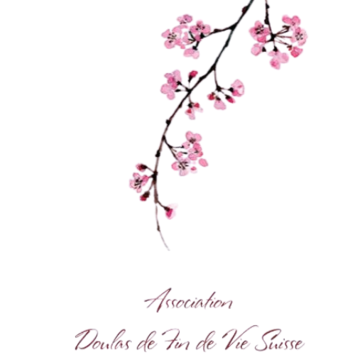 Logo fond transparent